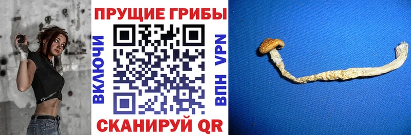 Псилоцибиновые грибы MAGIC MUSHROOMS  Краснокаменск 